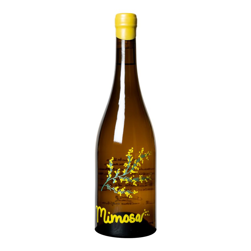 Mimosa